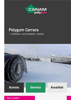 carrara_folder
