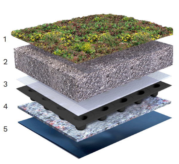 Opbouw_Groendak