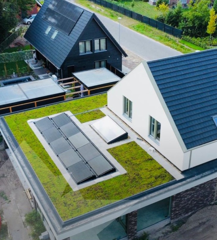 Woning_groendak